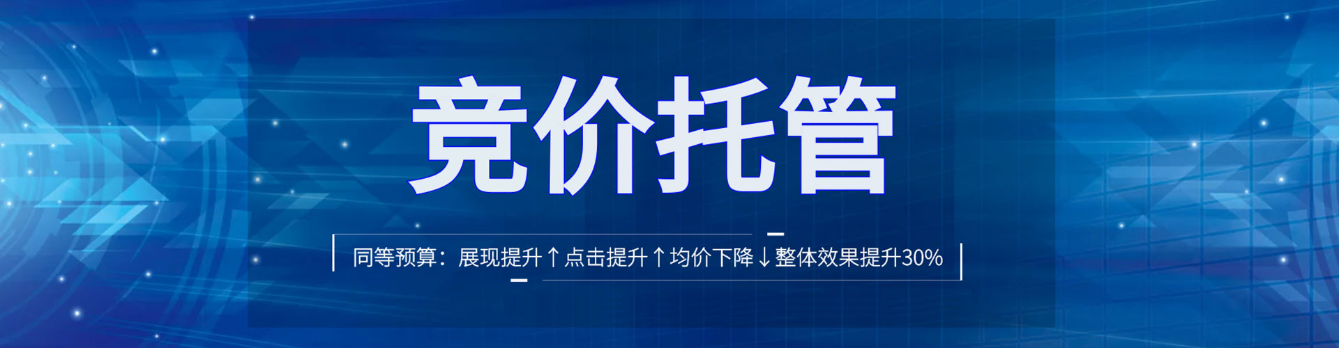 罗城sem专员